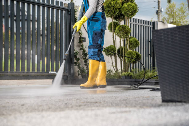 Best Roof Pressure Washing  in Hammonton, NJ