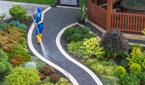 Best Affordable Pressure Washing  in Hammonton, NJ